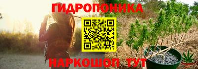 прущие грибы Кунгур