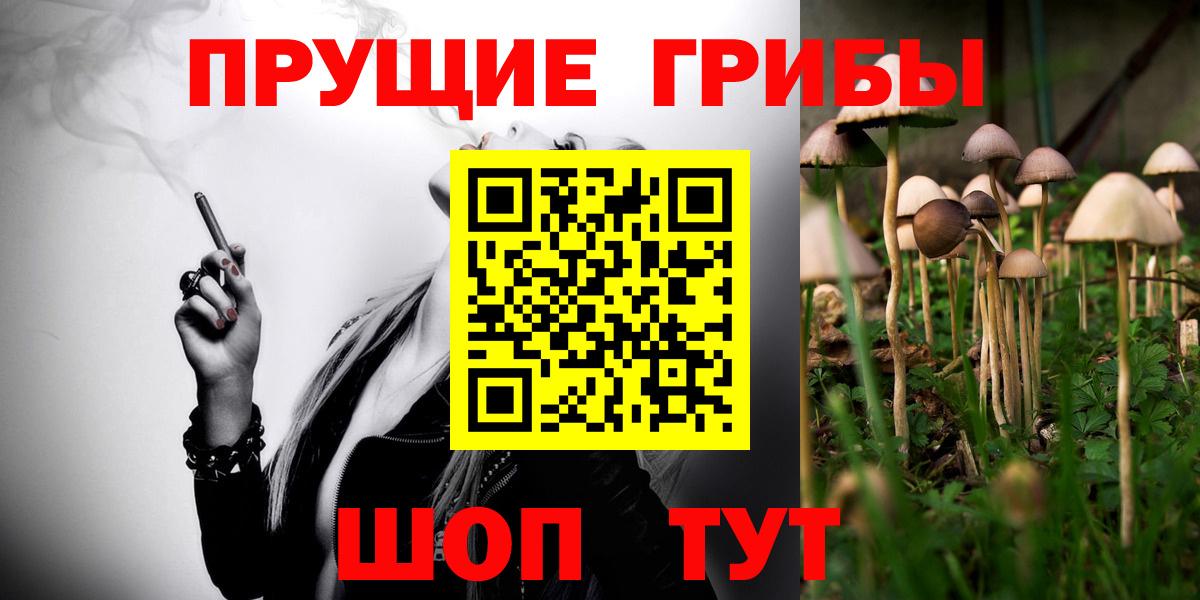 Галлюциногенные грибы Cubensis Горно-Алтайск