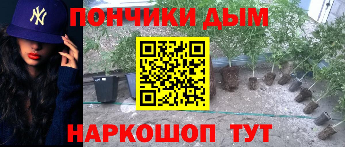 Шишки марихуана AK-47 Горно-Алтайск